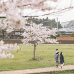 「もしも」の時に困らない！家族信託で家族を守る方法とは？